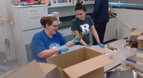 Amanda Gonzalez & Laura Malek wash bones at Rutgers-Camden